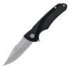 Buck Knives Buck 840 Sprint Select Folding Lockblade Knife