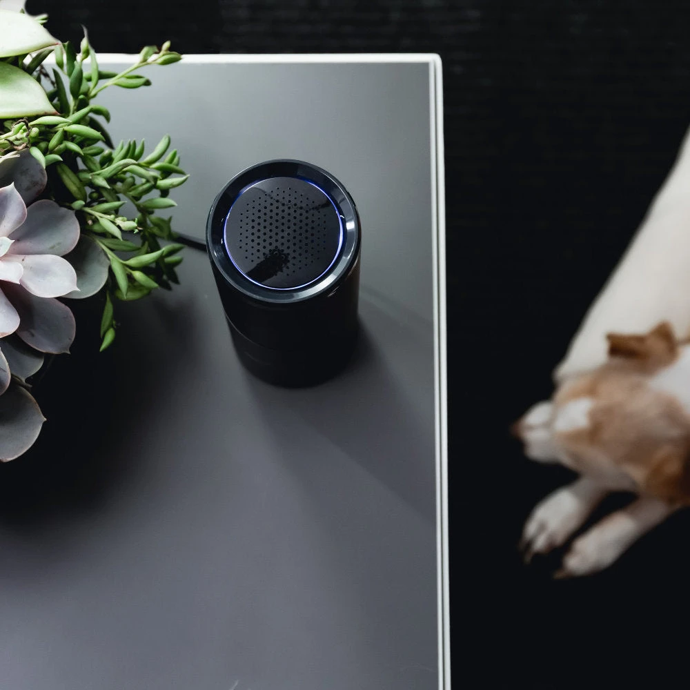 CleanLight Air UV Air Purifier By KeySmart 8 CleanLight Air UV Air Purifier By KeySmart - Image 8