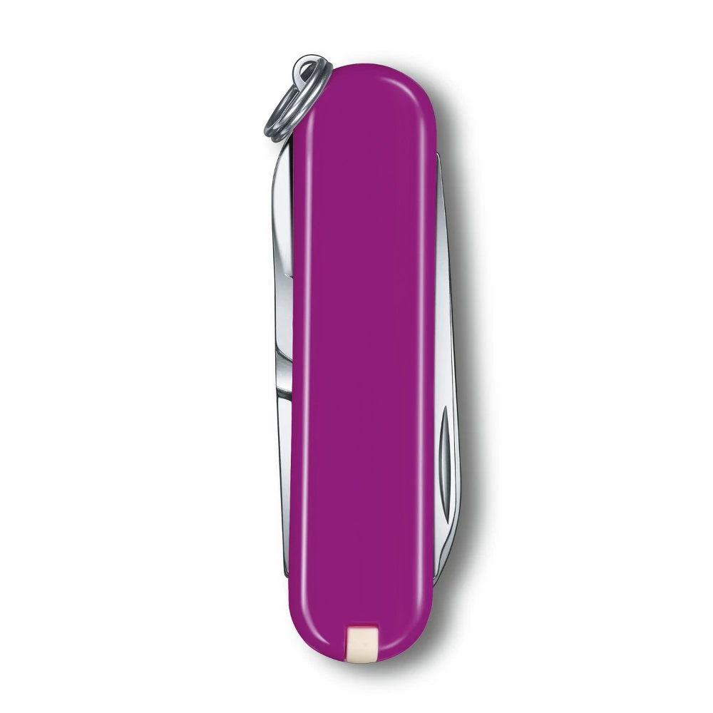 Victorinox Classic SD Swiss Army Knife, 2021 Solid Colors 3 Victorinox Classic SD Swiss Army Knife, 2021 Solid Colors - Image 3
